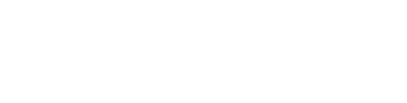 Minimale Animale